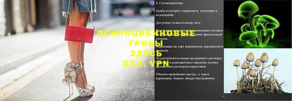 шишки Козловка