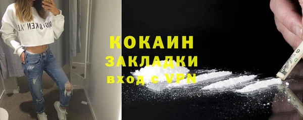 шишки Козловка