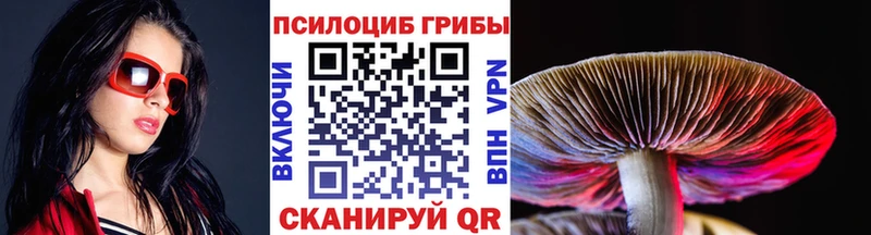 mega как зайти купить Кириллов Псилоцибиновые грибы мухоморы